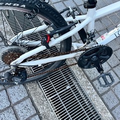 ルイガノ　　22インチの画像