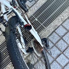 ルイガノ　　22インチの画像