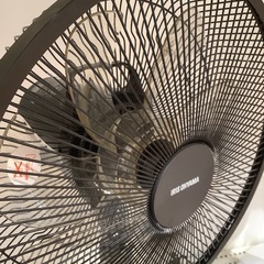 【トレファク神戸南店】IRIS OHYAMAのDCリビング扇風機です‼︎【取りに来られる方限定】の画像