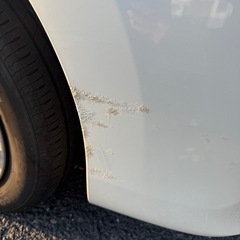 【激安】セレナの画像