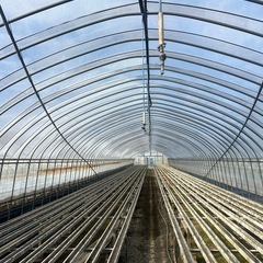 【ビニールハウス｜1棟ずつ販売｜解体費込み】の画像