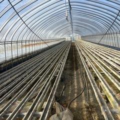 【ビニールハウス｜1棟ずつ販売｜解体費込み】の画像