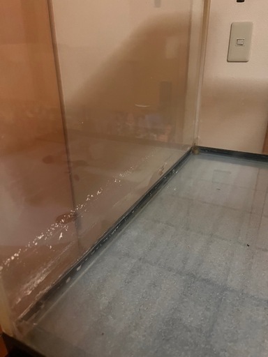 600.450.450、2段水槽、ラック、レイシー上部、セット 楽天市場】水槽台 600×450の通販