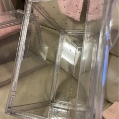 爬虫類 ケージ の画像