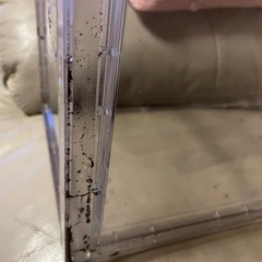 爬虫類 ケージ の画像