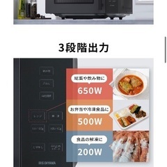 電子レンジ 単機能 フラット アイリスオーヤマ 18Lの画像