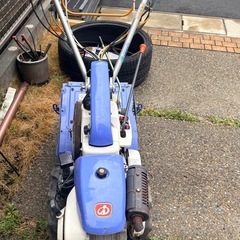 iseki パンジーP5の画像