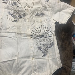 アヴィレックス　長袖Tシャツ/半袖シャツの画像