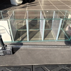 水槽　ベタマンション　ベタ　熱帯魚　メダカ　金魚　稚魚　幼魚の画像