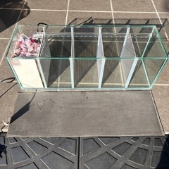 水槽　ベタマンション　ベタ　熱帯魚　メダカ　金魚　稚魚　幼魚の画像