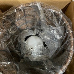 テーブルランプ リンドロ2S DBR の画像