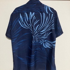 カリユシ
の画像