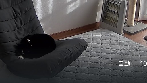 185×240タンスのゲン 極厚ラグ