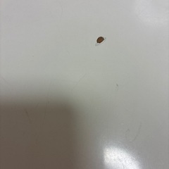 テーブル　の画像