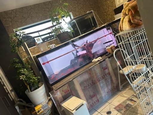 中古アクリル水槽1,800×900×600DIY水槽台説明文読んでください