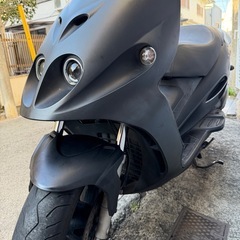 PHANTOM MAX 250の画像