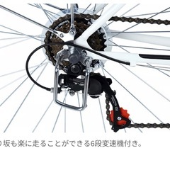cyma CHRYS ブルーグリーンの画像