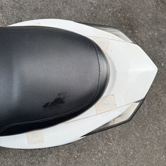 シグナス　台湾3型の画像