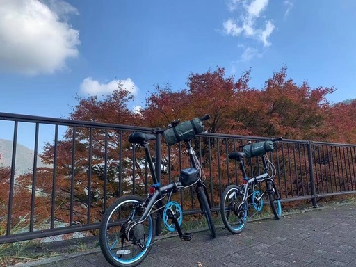 【自転車2台セット】RENAULT LIGHT10 折りたたみ式(専用バッグ付)