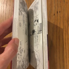 書籍「まんがで簡単にわかる！日本人だけが気づかない危機日本消滅〜売り払われる日本と売国奴の正体〜」の画像