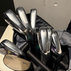 初心者向けゴルフセット(アイアン・パター・バッグのみ)の画像