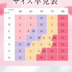 新品未開封　XLサイズ　momoful グレイスネイビー　デイリーブラ　吸水ショーツ　通常タイプの画像