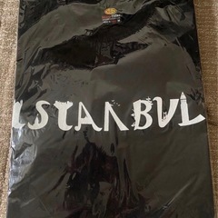 海外旅行お土産TシャツISTANBUL Mの画像