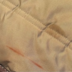 ギンコーショルダーバッグ　の画像