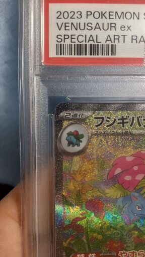 フシギバナex SAR PSA10