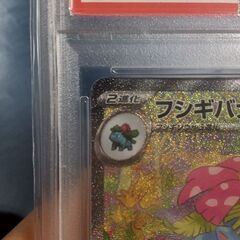 フシギバナex SAR PSA10の画像