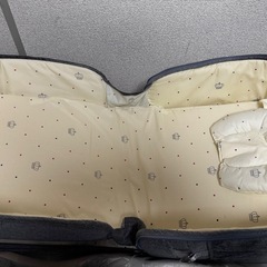 ココリズム折りたたみベッド　枕、幌、蚊帳付きの画像