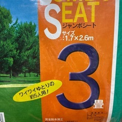 新品未使用レジャーシート2枚まとめ売りの画像