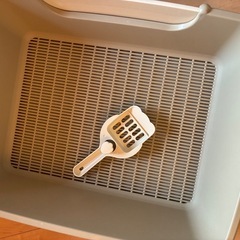 猫　トイレの画像