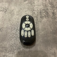 シーリングライト(リモコン付き)の画像