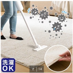 ほこりがとれやすい洗えるラグの画像