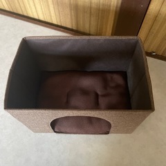 🐈ネコの🏠？の画像