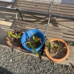 シンプルなプランタースタンドの画像