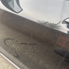 ベンツ　画像1の画像