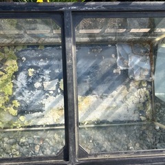 水槽3個まとめての画像