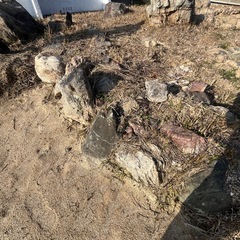 庭石もらっていただけないですか？の画像