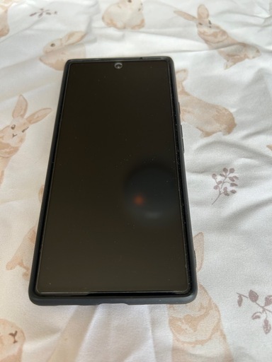 大至急pixel6a