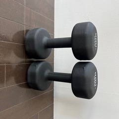 10kgのダンベルセットの画像