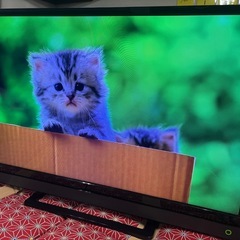 2017年TOSHIBA REGZA 32インチテレビ 32S20の画像