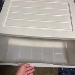 購入者確定の画像