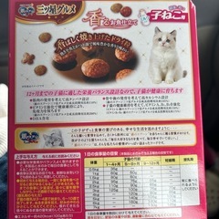 子猫 フードの画像