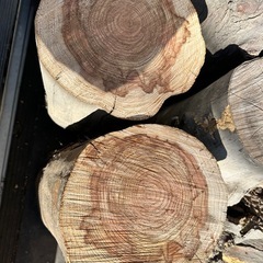 薪 丸太　材木 木材 廃材 丸太 DIY無償の画像