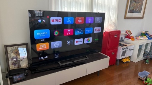 65インチ　REGZA パモウナテレビ台付き