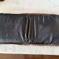 座椅子(ニトリ
)の画像