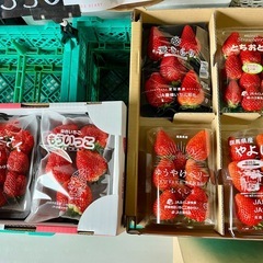 甘い🍓6種食べ比べ✨¥500〜