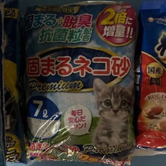 🐱ネコ砂の画像